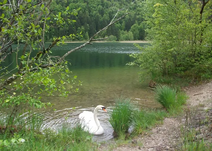 Rexha アパート *